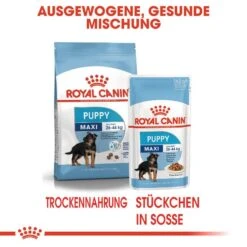 Royal Canin Maxi Puppy Welpenfutter Nass Für Große Hunde -Hundefutter Welt Verkaufsgeschäft royal canin maxi puppy welpenfutter nass fuer grosse hunde 1566211304