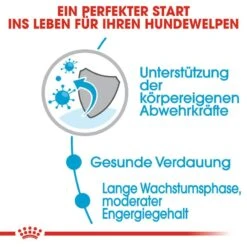 Royal Canin Maxi Puppy Welpenfutter Nass Für Große Hunde -Hundefutter Welt Verkaufsgeschäft royal canin maxi puppy welpenfutter nass fuer grosse hunde 1566211306