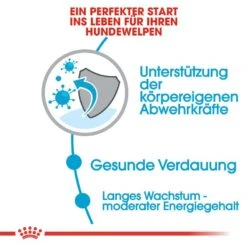 Royal Canin Maxi Puppy Welpenfutter Trocken Für Große Hunde -Hundefutter Welt Verkaufsgeschäft royal canin maxi puppy welpenfutter trocken fuer grosse hunde 1565769773