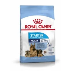 Royal Canin Maxi Starter Für Tragende Hündin Und Welpen