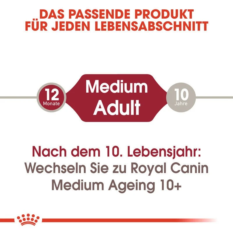 Royal Canin Medium Adult Nassfutter Für Mittelgroße Hunde 8 Royal Canin Medium Adult Nassfutter Für Mittelgroße Hunde – Bild 6