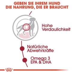 Royal Canin Medium Adult Nassfutter Für Mittelgroße Hunde 12 Royal Canin Medium Adult Nassfutter Für Mittelgroße Hunde -Hundefutter Welt Verkaufsgeschäft royal canin medium adult nassfutter fuer mittelgrosse hunde 1565792525