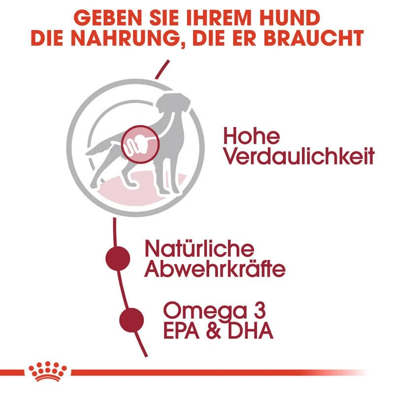 Royal Canin Medium Adult Nassfutter Für Mittelgroße Hunde 5 Royal Canin Medium Adult Nassfutter Für Mittelgroße Hunde – Bild 3