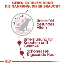 Royal Canin Medium Ageing 10+ Nassfutter Für ältere Mittelgroße Hunde -Hundefutter Welt Verkaufsgeschäft royal canin medium ageing 10 nassfutter fuer aeltere mittelgrosse hunde 1566212989