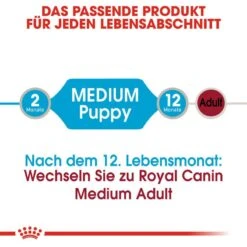 Royal Canin Medium Puppy Welpenfutter Nass Für Mittelgroße Hunde 14 Royal Canin Medium Puppy Welpenfutter Nass Für Mittelgroße Hunde -Hundefutter Welt Verkaufsgeschäft royal canin medium puppy welpenfutter nass fuer mittelgrosse hunde 1566207665