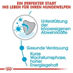 Royal Canin Medium Puppy Welpenfutter Nass Für Mittelgroße Hunde 12 Royal Canin Medium Puppy Welpenfutter Nass Für Mittelgroße Hunde -Hundefutter Welt Verkaufsgeschäft royal canin medium puppy welpenfutter nass fuer mittelgrosse hunde 1566207667
