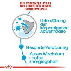 Royal Canin Medium Puppy Welpenfutter 13 Royal Canin Medium Puppy Welpenfutter -Hundefutter Welt Verkaufsgeschäft royal canin medium puppy welpenfutter trocken fuer mittelgrosse hunde 1565770157