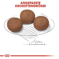 Royal Canin Medium Puppy Welpenfutter 14 Royal Canin Medium Puppy Welpenfutter -Hundefutter Welt Verkaufsgeschäft royal canin medium puppy welpenfutter trocken fuer mittelgrosse hunde 1565770161