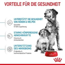 Royal Canin Medium Starter Für Tragende Hündin Und Welpen -Hundefutter Welt Verkaufsgeschäft royal canin medium starter fuer tragende huendin und welpen 1650896611