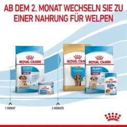 Royal Canin Medium Starter Für Tragende Hündin Und Welpen -Hundefutter Welt Verkaufsgeschäft royal canin medium starter fuer tragende huendin und welpen 1650896617