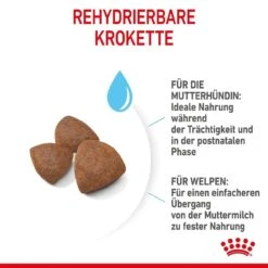 Royal Canin Medium Starter Für Tragende Hündin Und Welpen -Hundefutter Welt Verkaufsgeschäft royal canin medium starter fuer tragende huendin und welpen 1650896620