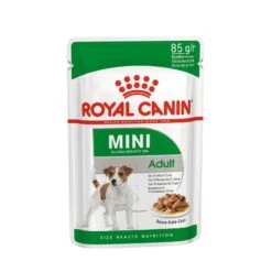 Royal Canin Mini Adult Nassfutter Für Ausgewachsene Kleine Hunde