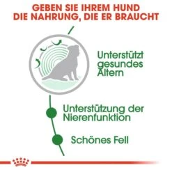Royal Canin Mini Ageing 12+ Nassfutter Für ältere Kleine Hunde 12 Royal Canin Mini Ageing 12+ Nassfutter Für ältere Kleine Hunde -Hundefutter Welt Verkaufsgeschäft royal canin mini ageing 12 nassfutter fuer aeltere kleine hunde 1566212007