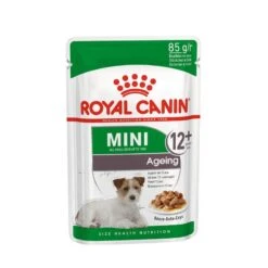 Royal Canin Mini Ageing 12+ Nassfutter Für ältere Kleine Hunde