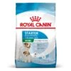 Royal Canin Mini Starter Für Tragende Hündin Und Welpen -Hundefutter Welt Verkaufsgeschäft royal canin mini starter fuer tragende huendin und welpen 1650896830