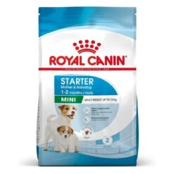 Royal Canin Mini Starter Für Tragende Hündin Und Welpen