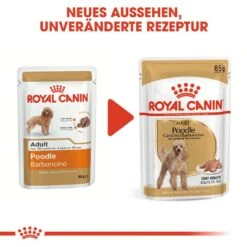 Royal Canin Poodle Adult In Soße Hundefutter Nass Für Pudel -Hundefutter Welt Verkaufsgeschäft royal canin poodle adult in sosse hundefutter nass fuer pudel 1565603095