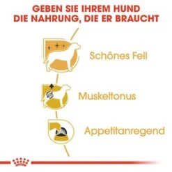 Royal Canin Poodle Adult In Soße Hundefutter Nass Für Pudel -Hundefutter Welt Verkaufsgeschäft royal canin poodle adult in sosse hundefutter nass fuer pudel 1565603105