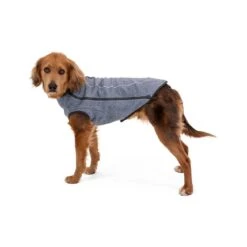 Ruffwear Hemp Hound Hundepullover Mit Reißverschluss 35 Ruffwear Hemp Hound Hundepullover Mit Reißverschluss -Hundefutter Welt Verkaufsgeschäft ruffwear hemp hound hundepullover mit reissverschluss 1664187992