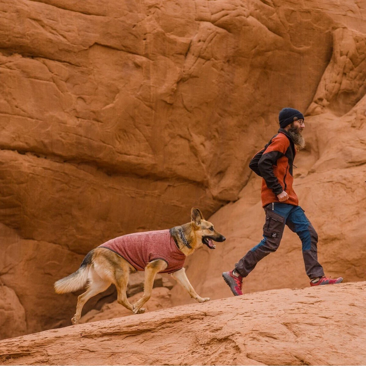 Ruffwear Hemp Hound Hundepullover Mit Reißverschluss 4 Ruffwear Hemp Hound Hundepullover Mit Reißverschluss – Bild 2