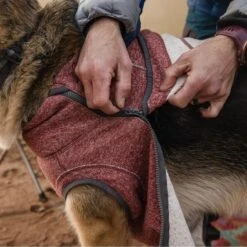 Ruffwear Hemp Hound Hundepullover Mit Reißverschluss 27 Ruffwear Hemp Hound Hundepullover Mit Reißverschluss -Hundefutter Welt Verkaufsgeschäft ruffwear hemp hound hundepullover mit reissverschluss 1664188103