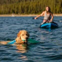 Ruffwear Lunker Wasserspielzeug Für Hunde -Hundefutter Welt Verkaufsgeschäft ruffwear lunker wasserspielzeug fuer hunde 1664871965