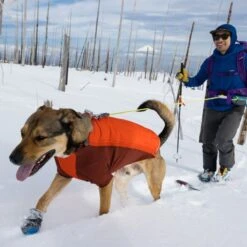 Ruffwear Powder Hound Wintermantel Für Hunde -Hundefutter Welt Verkaufsgeschäft ruffwear powder hound wintermantel fuer hunde 1664185120