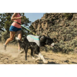 Ruffwear Swamp Cooler Kühlweste Für Hunde -Hundefutter Welt Verkaufsgeschäft ruffwear swamp cooler kuehlweste fuer hunde 1554223439