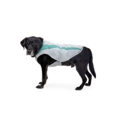 Ruffwear Swamp Cooler Kühlweste Für Hunde -Hundefutter Welt Verkaufsgeschäft ruffwear swamp cooler kuehlweste fuer hunde 1647942057