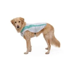 Ruffwear Swamp Cooler Kühlweste Für Hunde -Hundefutter Welt Verkaufsgeschäft ruffwear swamp cooler kuehlweste fuer hunde 1647942241