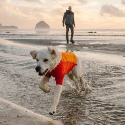 Ruffwear Undercoat Water Jacket Neopren Hundemantel -Hundefutter Welt Verkaufsgeschäft ruffwear undercoat water jacket neopren hundemantel 1631009576