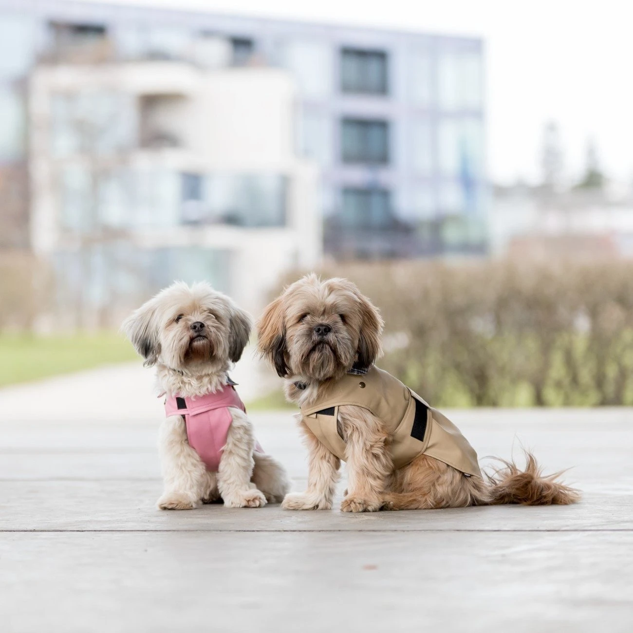 TRIXIE Hundemantel Paris 22 TRIXIE Hundemantel Paris – Bild 20