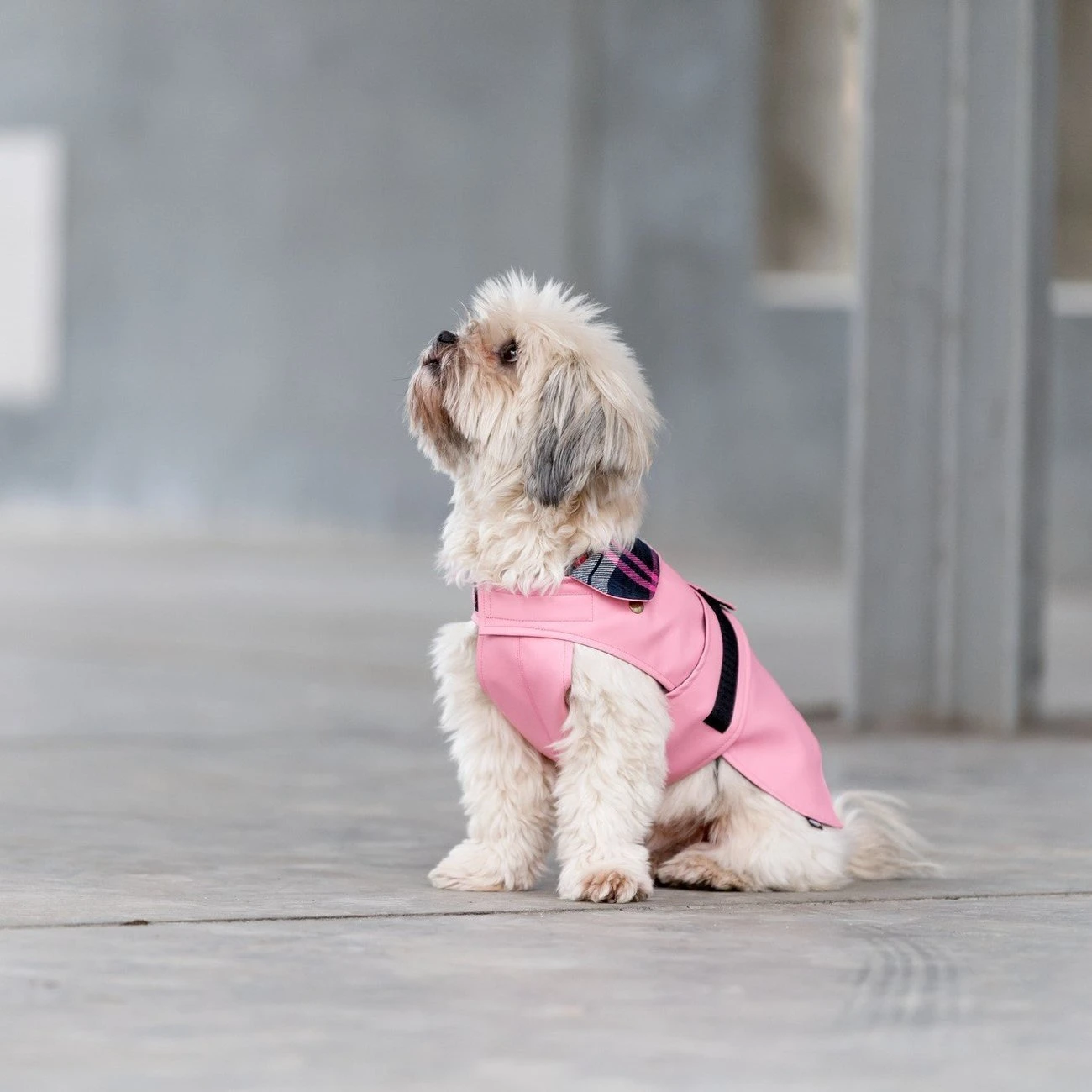 TRIXIE Hundemantel Paris 19 TRIXIE Hundemantel Paris – Bild 17