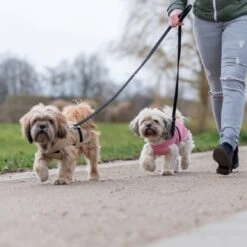 TRIXIE Hundemantel Paris 33 TRIXIE Hundemantel Paris -Hundefutter Welt Verkaufsgeschäft trixie hundemantel paris 1609760245