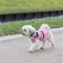 TRIXIE Hundemantel Paris 35 TRIXIE Hundemantel Paris -Hundefutter Welt Verkaufsgeschäft trixie hundemantel paris 1609760254