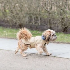 TRIXIE Hundemantel Paris 28 TRIXIE Hundemantel Paris -Hundefutter Welt Verkaufsgeschäft trixie hundemantel paris 1609760258