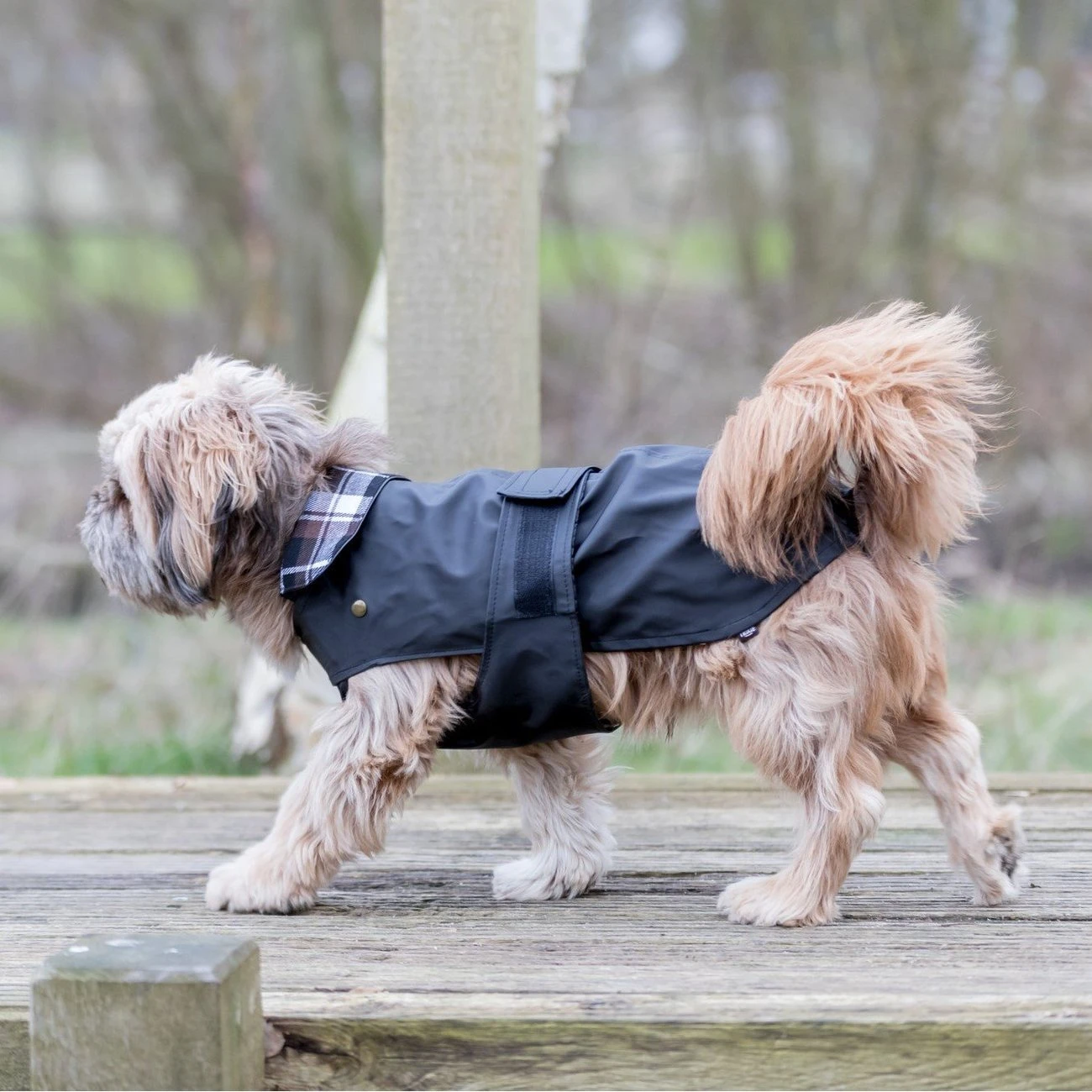 TRIXIE Hundemantel Paris 5 TRIXIE Hundemantel Paris – Bild 3