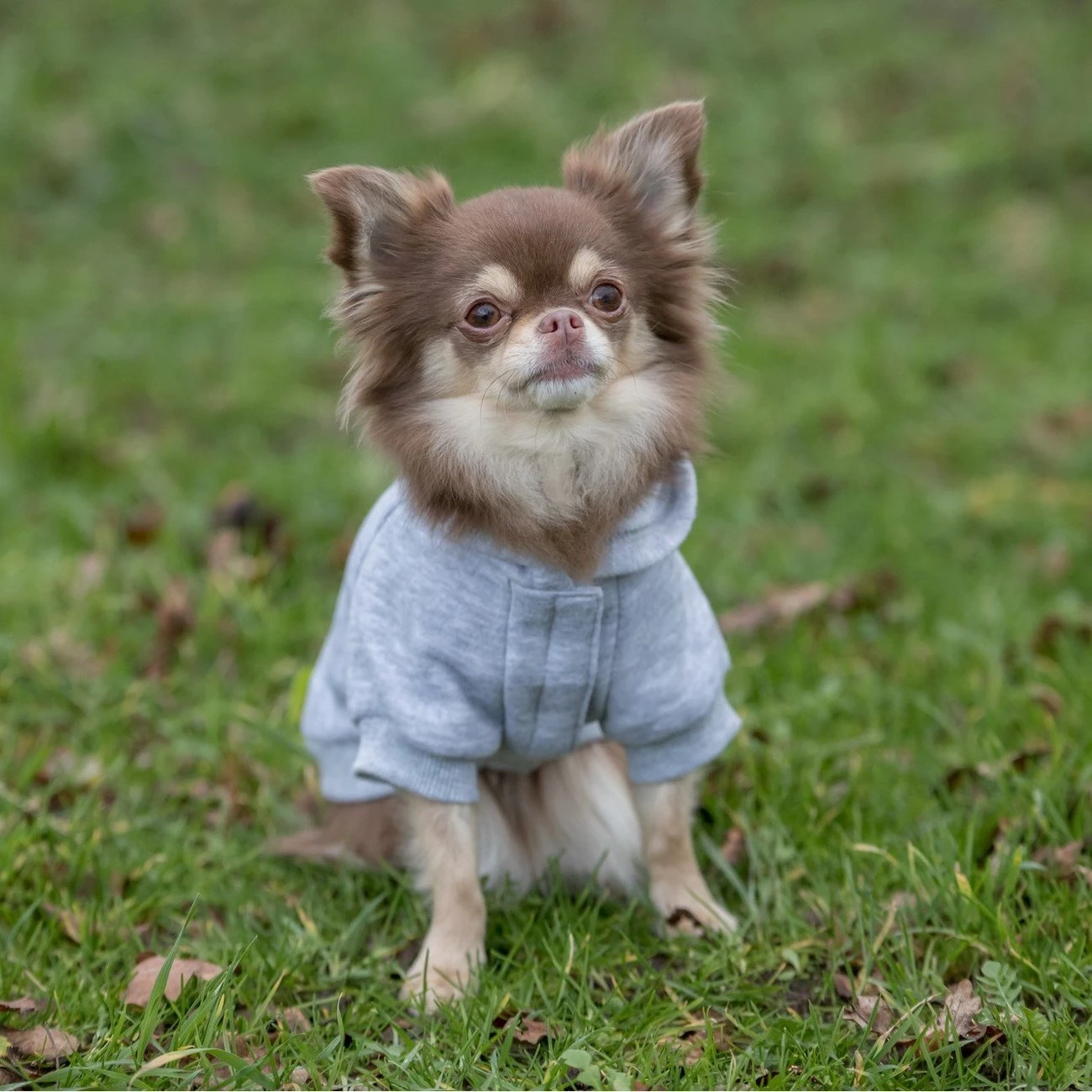 TRIXIE Hundepullover Rainbow Falls 6 TRIXIE Hundepullover Rainbow Falls – Bild 4