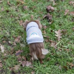 TRIXIE Hundepullover Rainbow Falls 18 TRIXIE Hundepullover Rainbow Falls -Hundefutter Welt Verkaufsgeschäft trixie hundepullover rainbow falls 1621324602