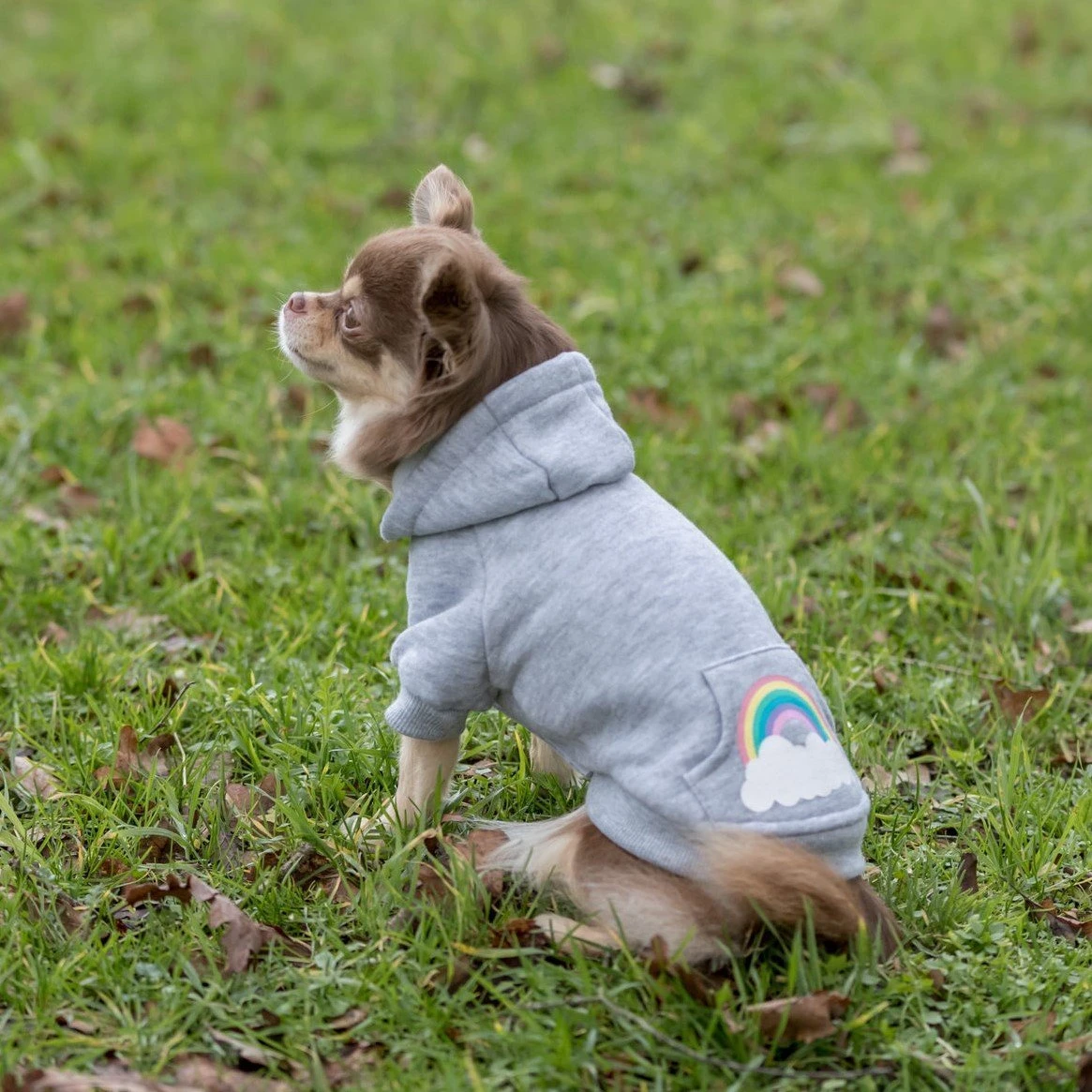 TRIXIE Hundepullover Rainbow Falls 4 TRIXIE Hundepullover Rainbow Falls – Bild 2