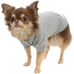 TRIXIE Hundepullover Rainbow Falls 19 TRIXIE Hundepullover Rainbow Falls -Hundefutter Welt Verkaufsgeschäft trixie hundepullover rainbow falls5 x994 y1000