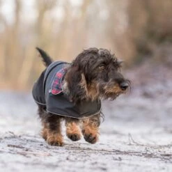 TRIXIE Mantel Hermy Für Dackel 14 TRIXIE Mantel Hermy Für Dackel -Hundefutter Welt Verkaufsgeschäft trixie mantel hermy fuer dackel 1621332812