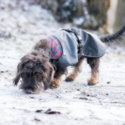 TRIXIE Mantel Hermy Für Dackel 19 TRIXIE Mantel Hermy Für Dackel -Hundefutter Welt Verkaufsgeschäft trixie mantel hermy fuer dackel 1621332815