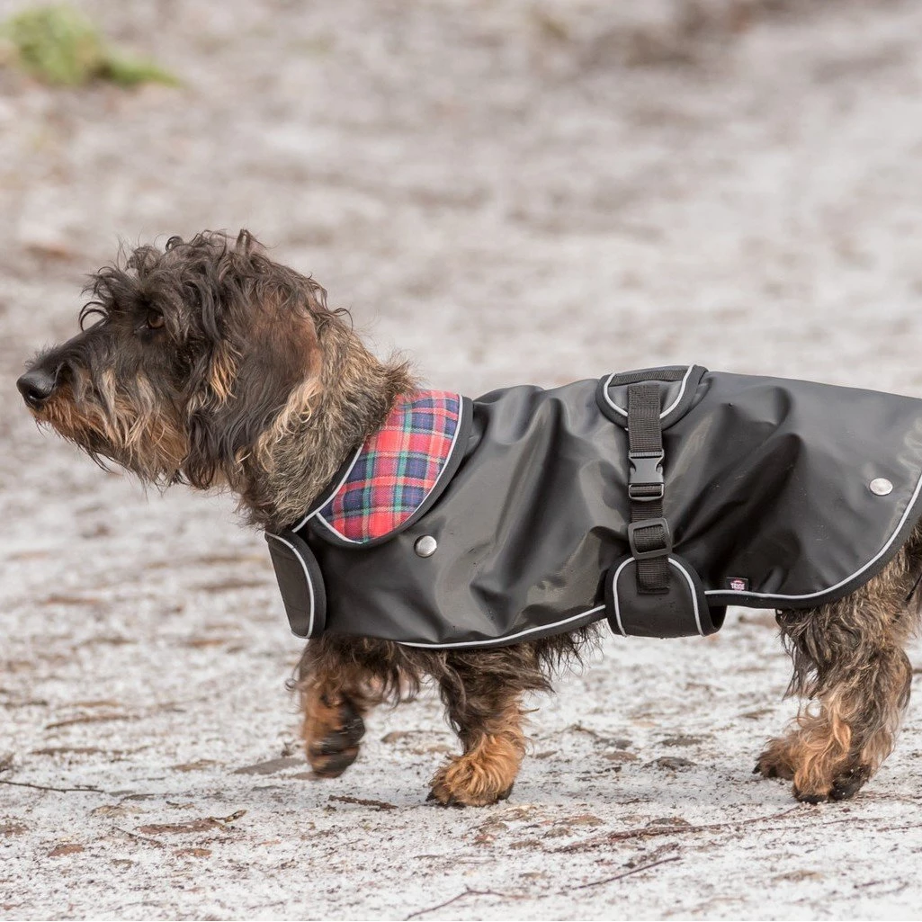 TRIXIE Mantel Hermy Für Dackel 4 TRIXIE Mantel Hermy Für Dackel – Bild 2