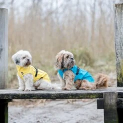 TRIXIE Regenmantel Vimy -Hundefutter Welt Verkaufsgeschäft trixie regenmantel vimy 1621328445