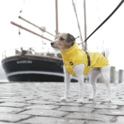 TRIXIE Regenmantel Vimy -Hundefutter Welt Verkaufsgeschäft trixie regenmantel vimy 1621328449