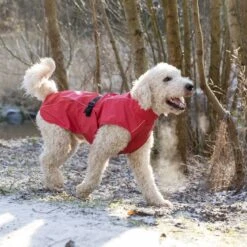 TRIXIE Regenmantel Vimy -Hundefutter Welt Verkaufsgeschäft trixie regenmantel vimy 1621328455