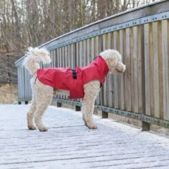 TRIXIE Regenmantel Vimy -Hundefutter Welt Verkaufsgeschäft trixie regenmantel vimy 1621328458