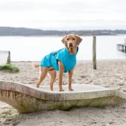 TRIXIE Regenmantel Vimy -Hundefutter Welt Verkaufsgeschäft trixie regenmantel vimy 1621328466