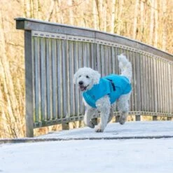 TRIXIE Regenmantel Vimy -Hundefutter Welt Verkaufsgeschäft trixie regenmantel vimy 1621328469